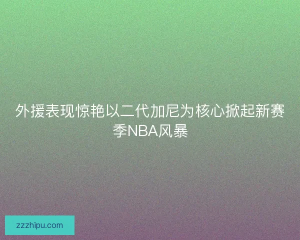 外援表现惊艳以二代加尼为核心掀起新赛季NBA风暴